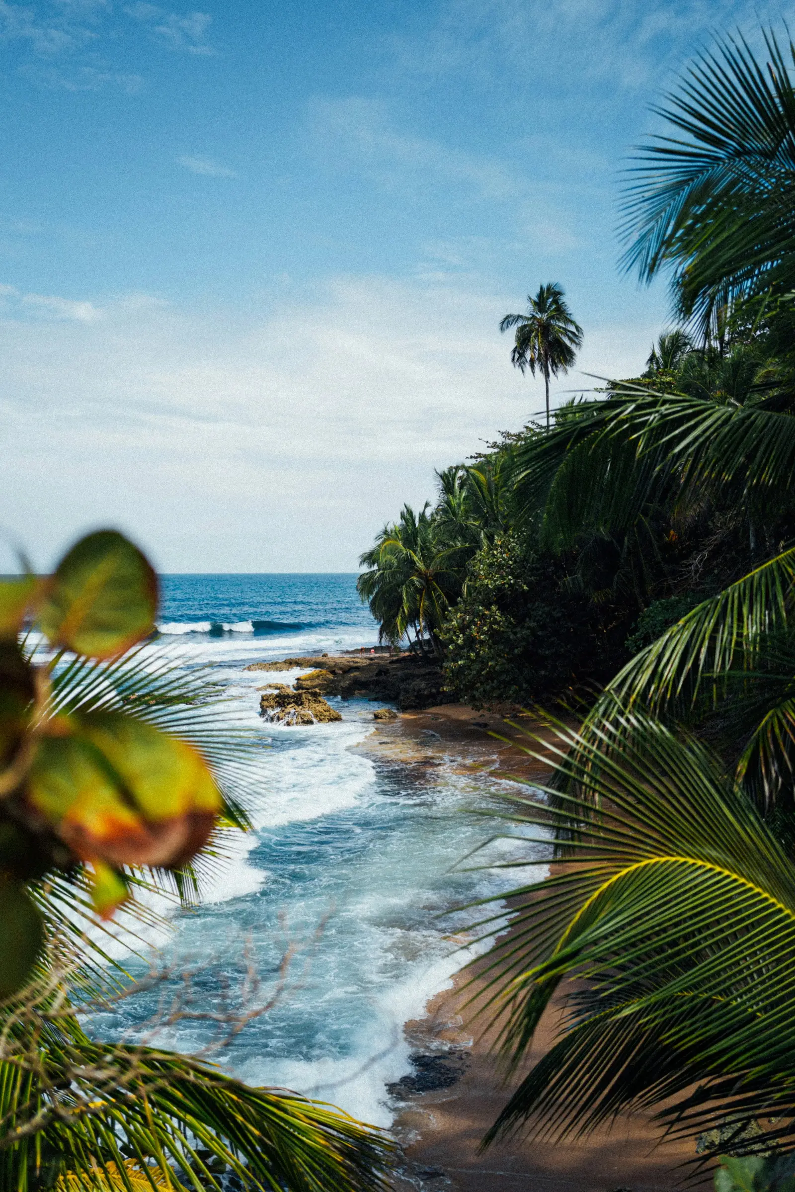 Palm-lined Caribbean beach inside Cahuita National Park