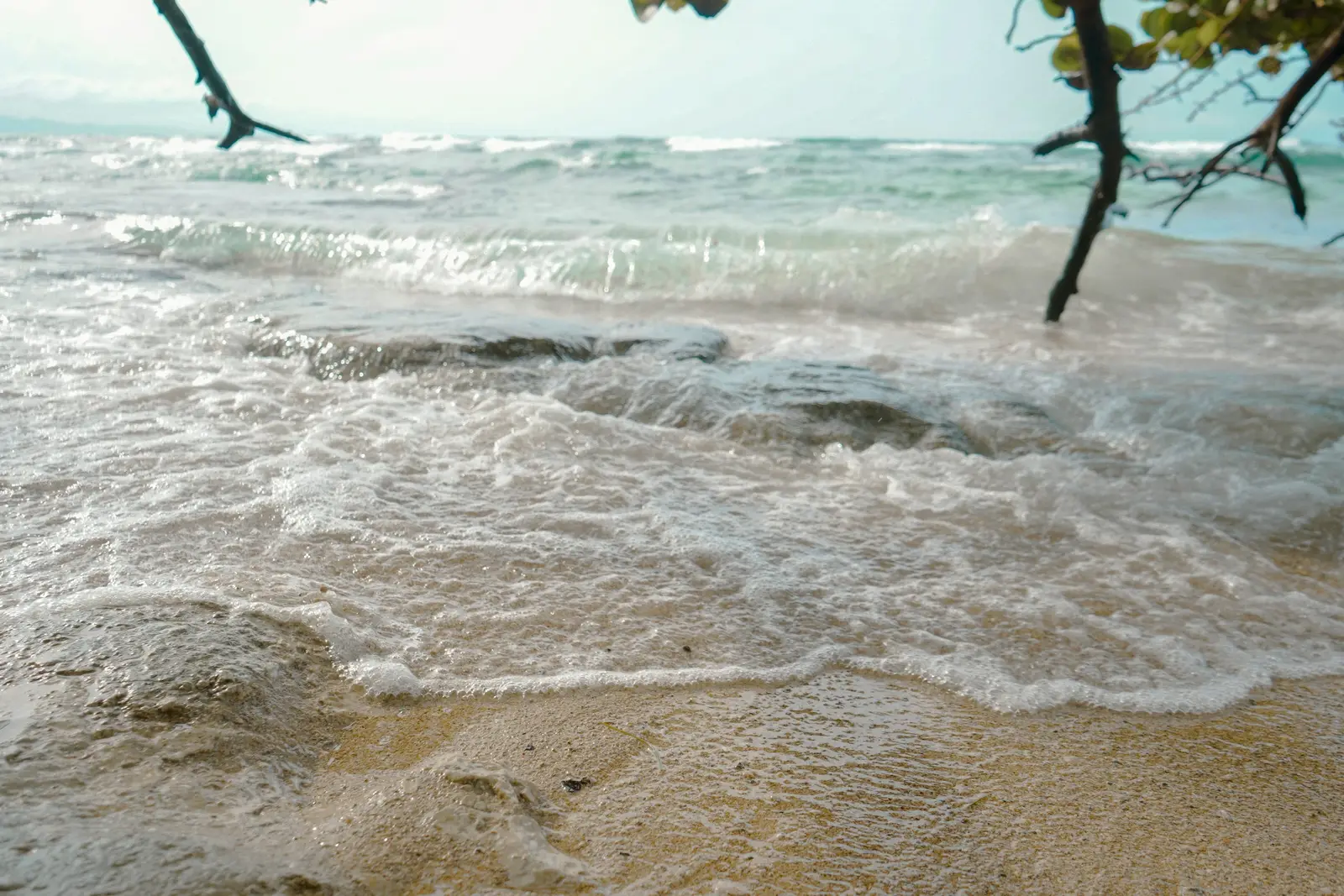 Sandy Caribbean beach and tropical trees at Manzanillo in Limón, Costa Rica