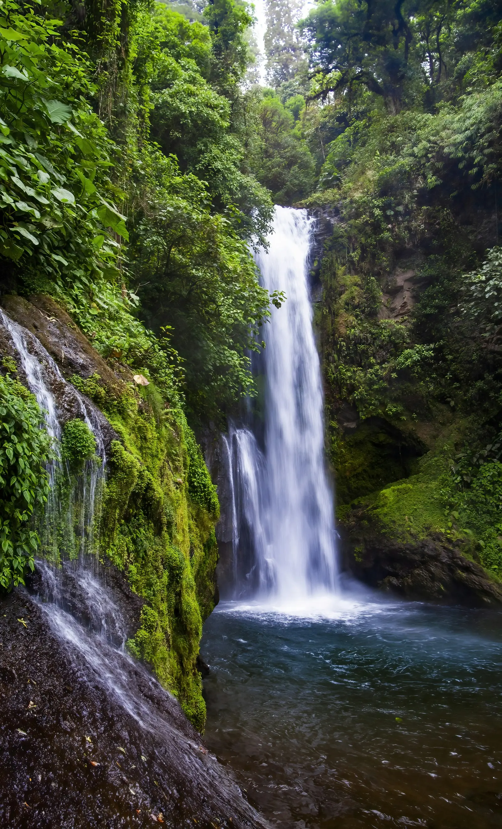 La Paz Waterfall dropping through dense green forest in Alajuela, Costa Rica
