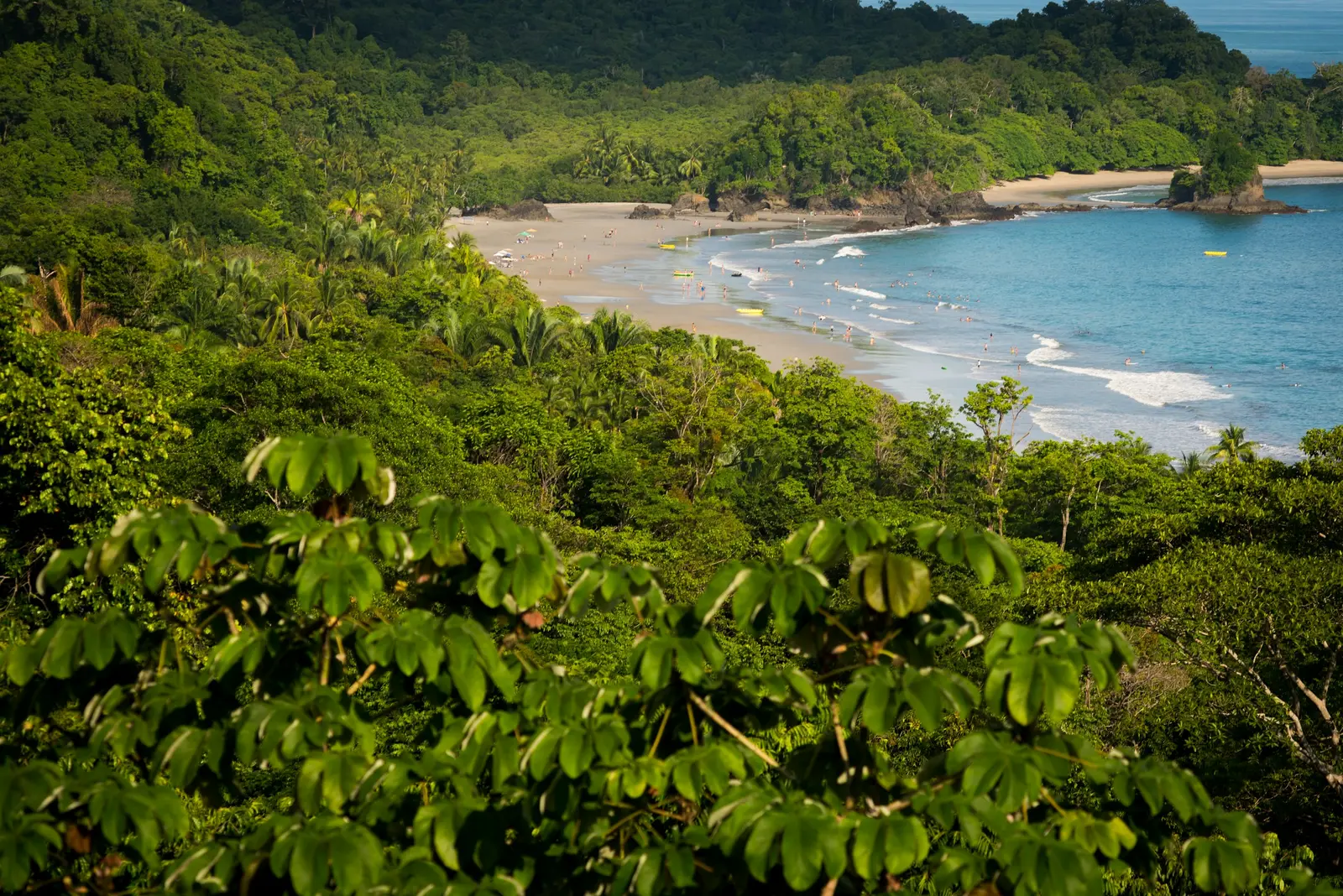Rainforest meeting the Pacific coast in Manuel Antonio, Costa Rica