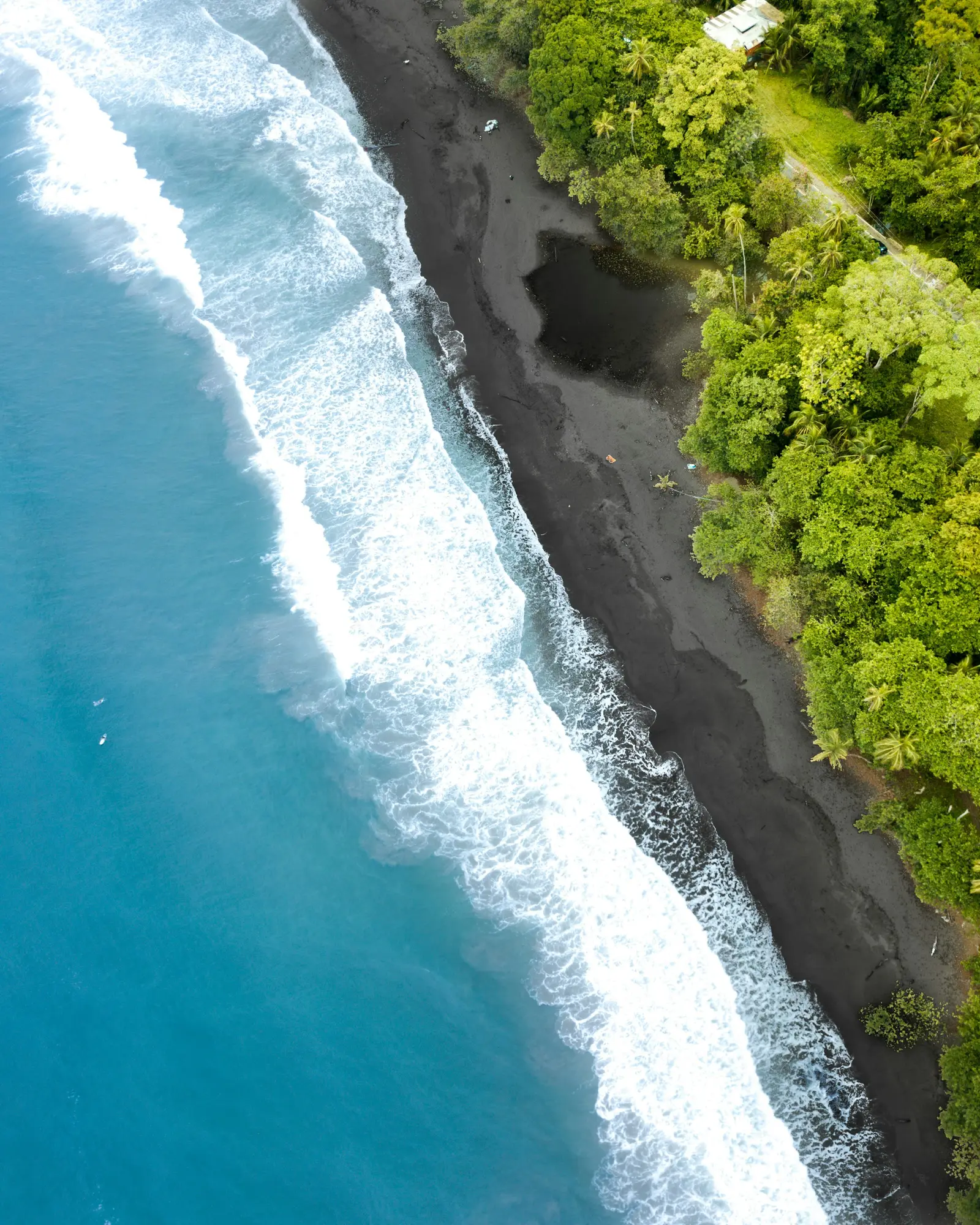 Aerial view of Caribbean beach and forest near Puerto Viejo de Talamanca
