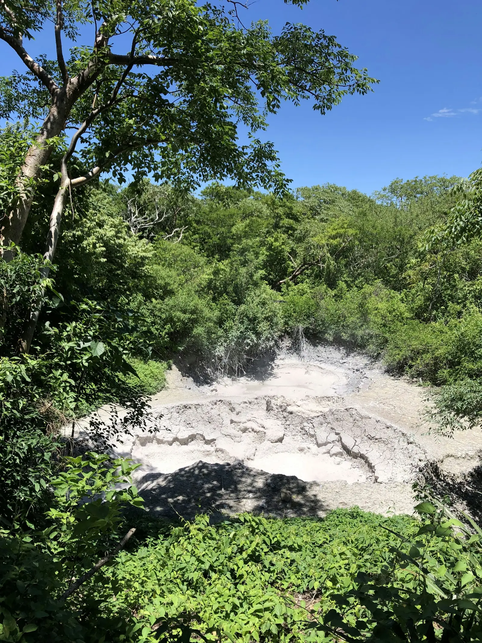 Volcanic fumarole area surrounded by forest in Rincón de la Vieja National Park